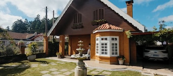 Swiss Chalet style house