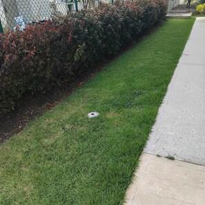 Terrein van de accommodatie