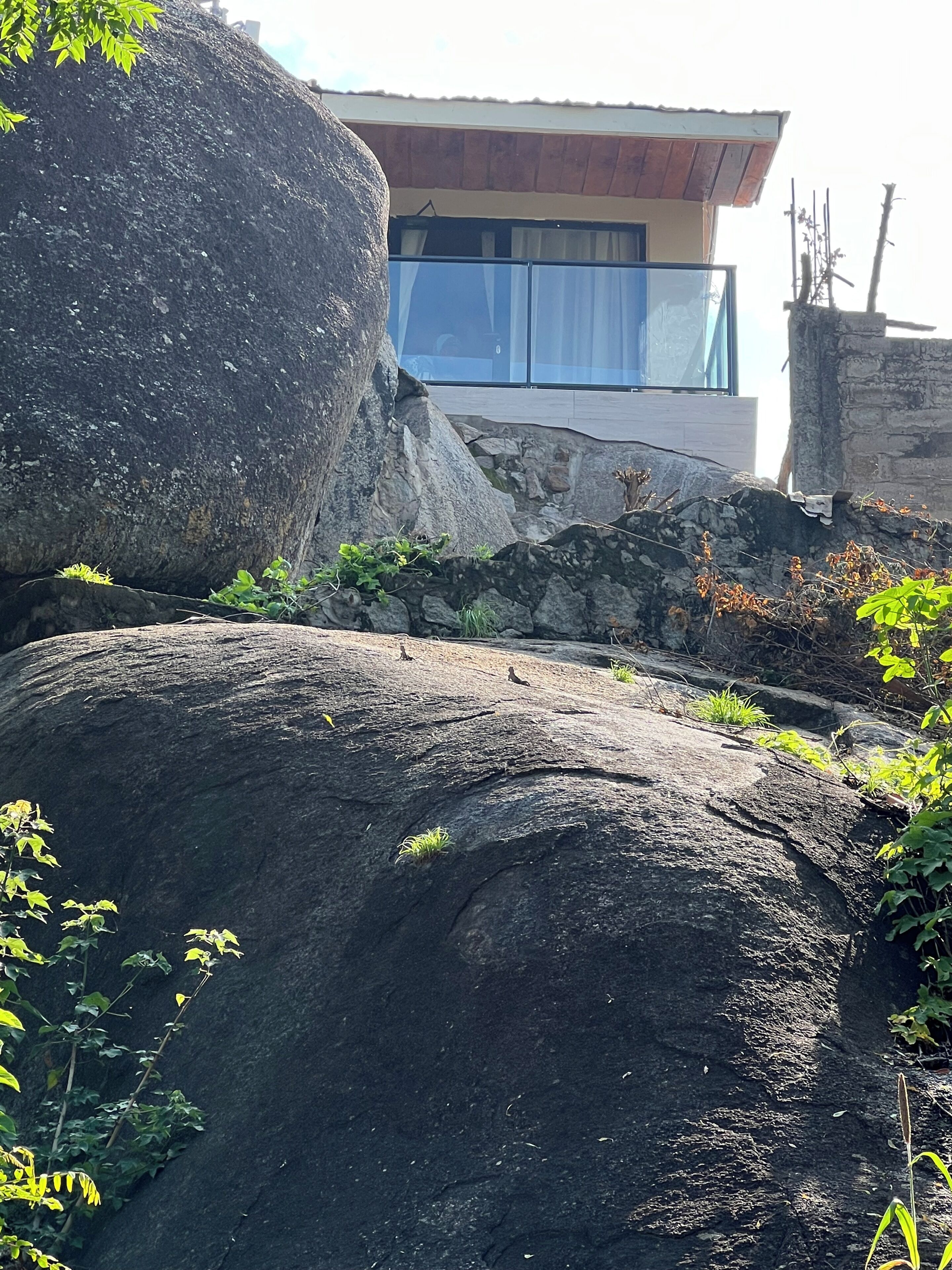 Detalle del exterior