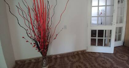 House Quincho in Plottier