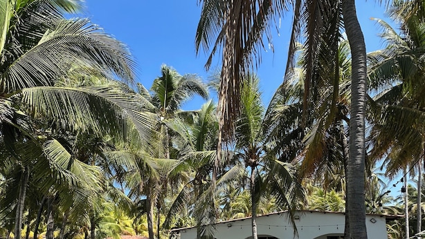 Piscina com borda de pedra, rodeada por palmeiras e um edifício branco com janelas em arco.