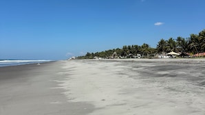 Uma praia com céu claro, faixa arenosa e uma fileira de palmeiras ao fundo.