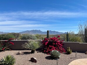 Área da propriedade