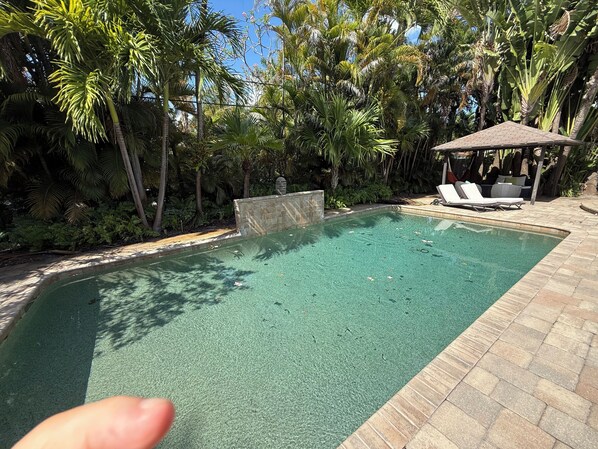 Outdoor pool - Delightful relaxation home in the best neighborhood In Fort Lauderdale! (Fort Lauderdale)