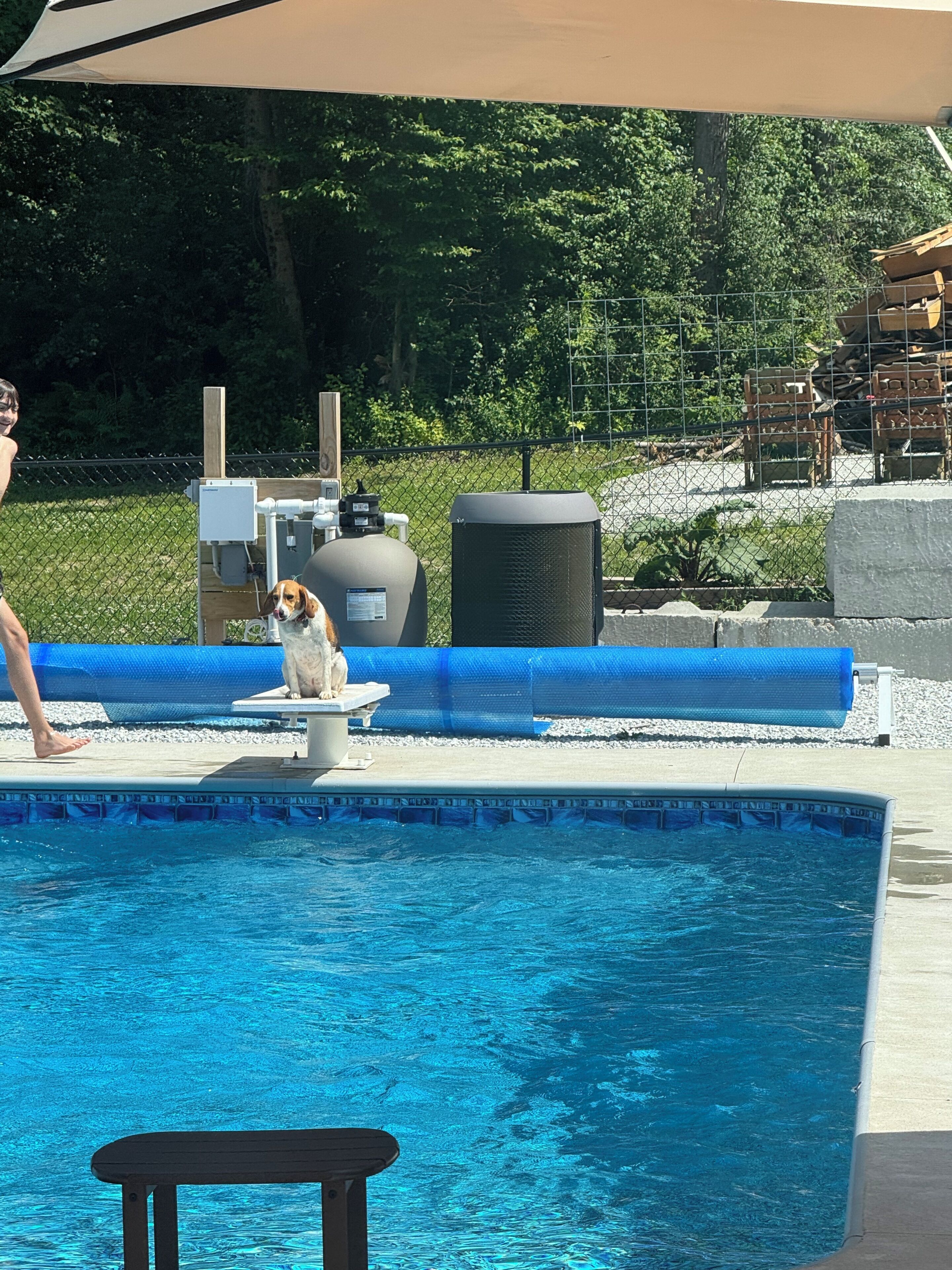 Udendørs pool, opvarmet pool