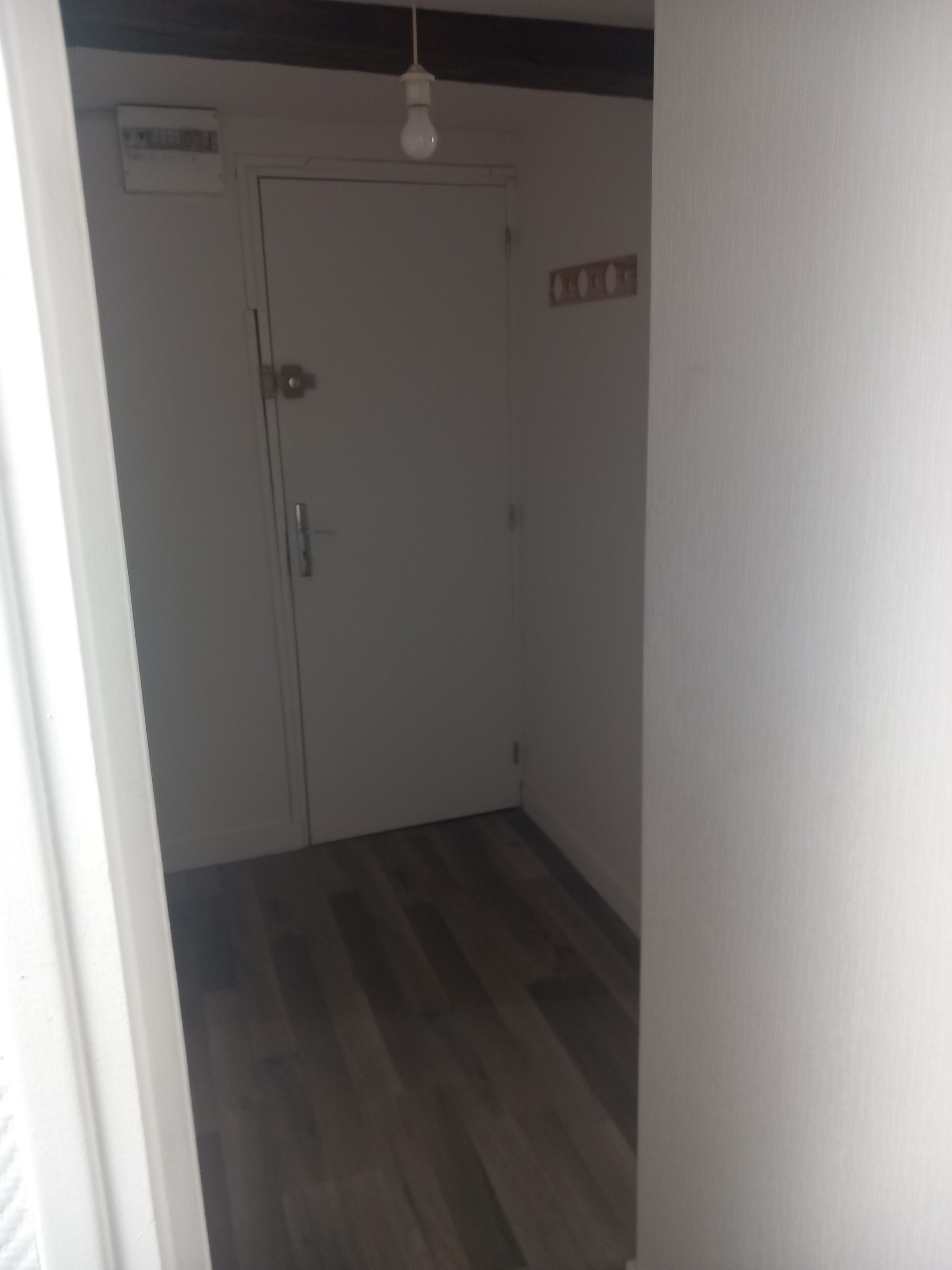Een gang met een houten vloer, een witte deur en een lamp.