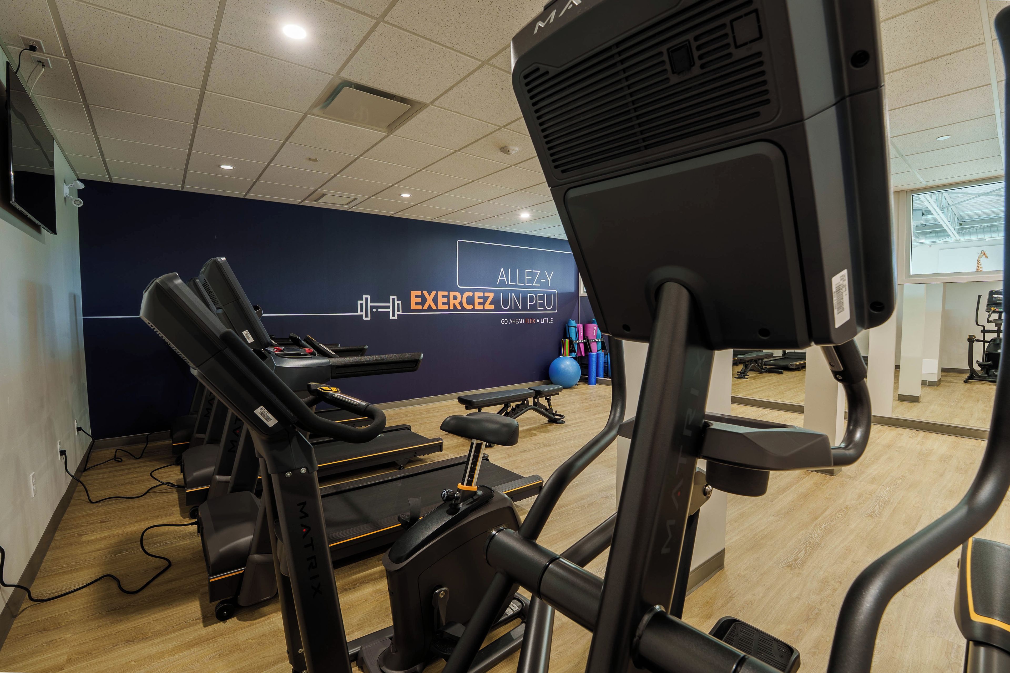 A gym with exercise equipment, a wall with motivational text, and a window with a giraffe visible.