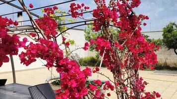 Un patio con mesa y sillas, una pérgola adornada con flores rojas, y un edificio al fondo.