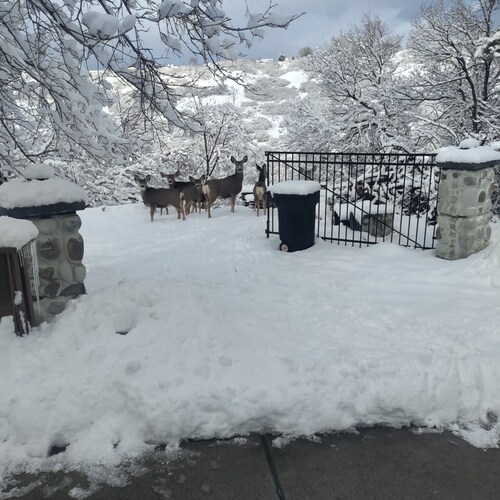 Beautiful Mountain Getaway Near Cottonwood Canyons
