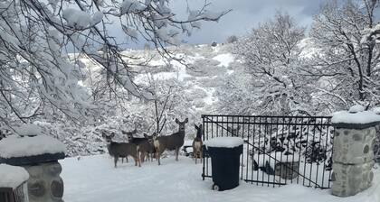 Beautiful Mountain Getaway Near Cottonwood Canyons