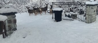 Beautiful Mountain Getaway Near Cottonwood Canyons