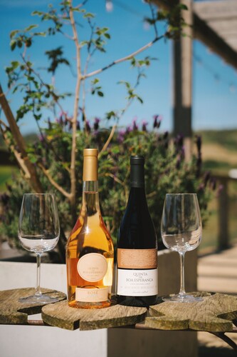 Boutique vineyard retreat 45 mins from Lisbon, calm and refined escape