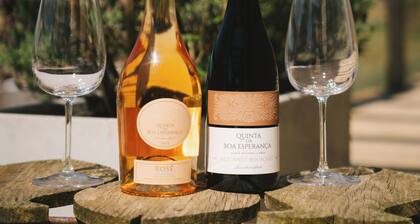 Boutique vineyard retreat 45 mins from Lisbon, calm and refined escape