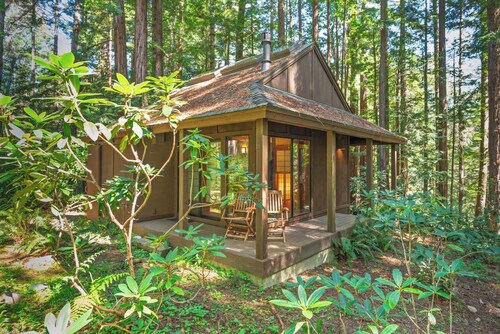Sea Ranch Studio Cabin nestled in the Forest