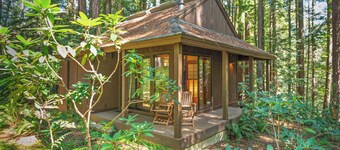 Sea Ranch Studio Cabin nestled in the Forest