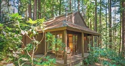 Sea Ranch Studio Cabin nestled in the Forest