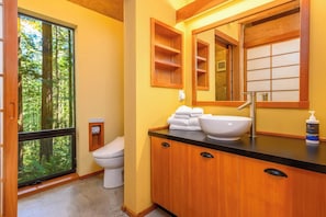 Shower, hair dryer, towels, shampoo