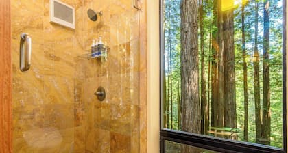 Sea Ranch Studio Cabin nestled in the Forest