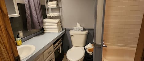 Een douche, een haardroger, handdoeken, toiletpapier