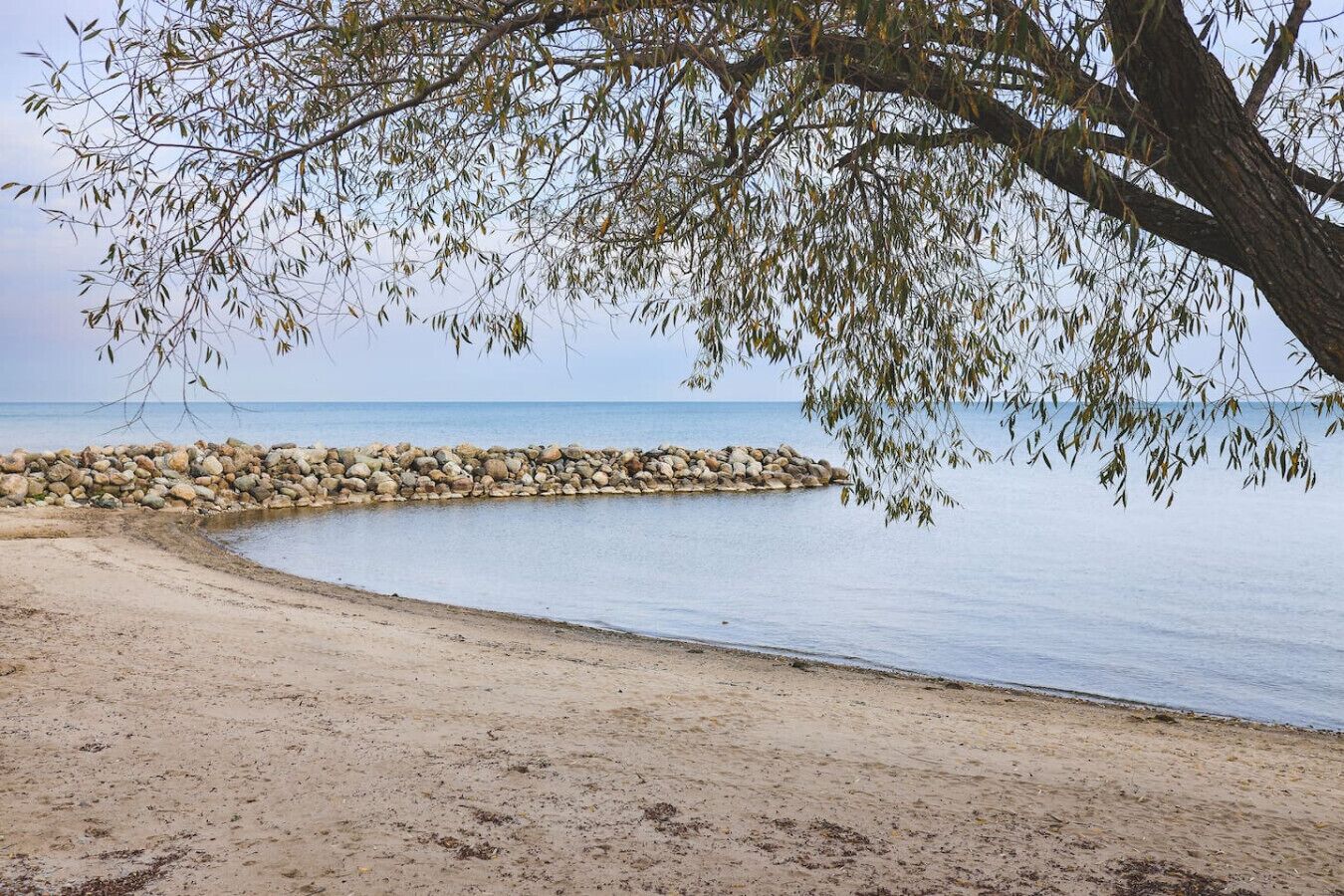 A beach with a rocky breakwater, sandy shore, and a tree with hanging branches.