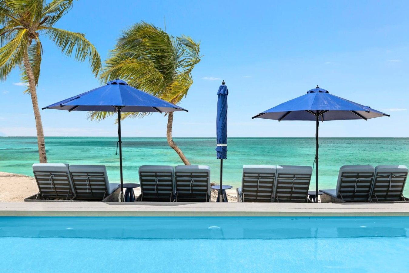 A poolside area with lounge chairs and umbrellas, palm trees, and a view of the ocean.