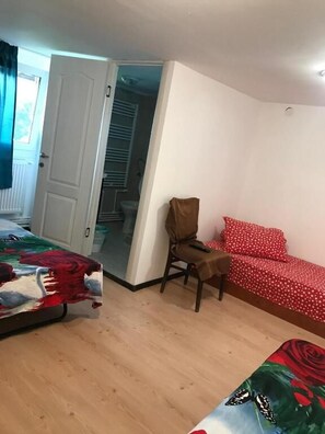 Room - Pensiunea Alexa (Bacău)