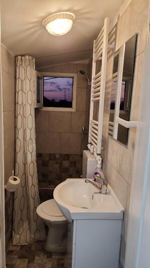 Shower, free toiletries, towels, toilet paper - Pensiunea Alexa (Bacău)