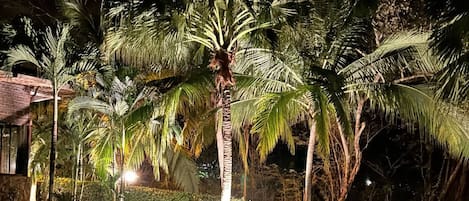 Bungalow, 2 Bedrooms, Patio, Garden View | Pool | Outdoor pool