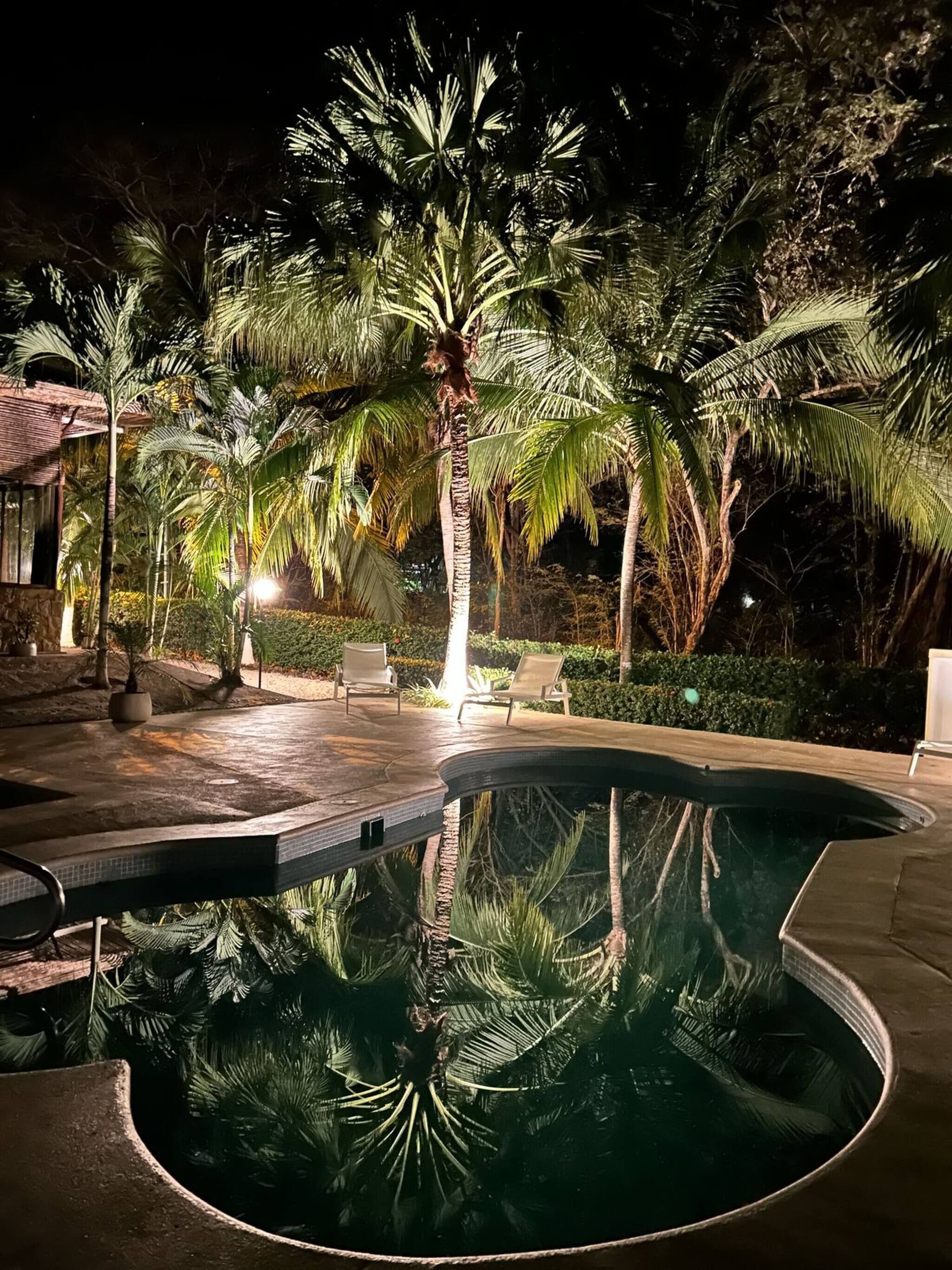 Bungalow, 2 chambres, patio, vue sur le jardin | Piscine | Piscine extérieure