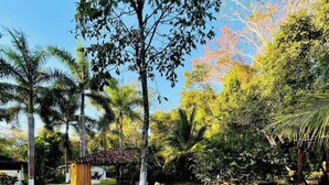 Un jardín con un banco de piedra, palmeras y un pabellón.