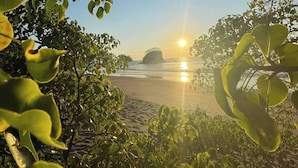Escena de playa con luz solar, follaje y una formación rocosa a lo lejos.