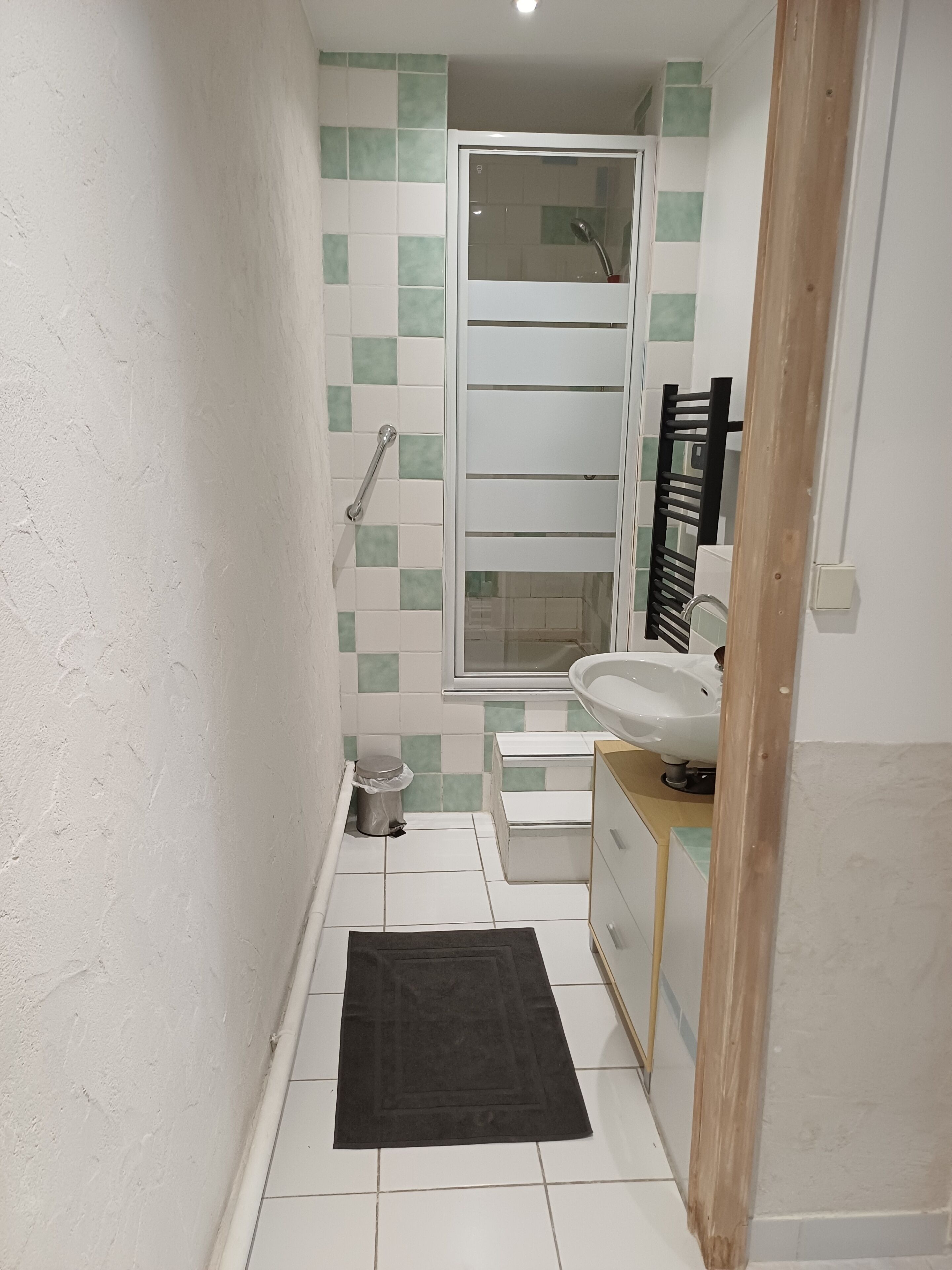 Shower, hair dryer, towels, toilet paper