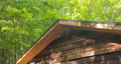 Rustic Private Cabin In Trent Lakes