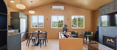 Smart TV, fireplace, books