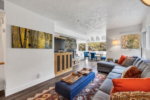 Fernseher, Kamin, Bücher, Arbeitsbereiche