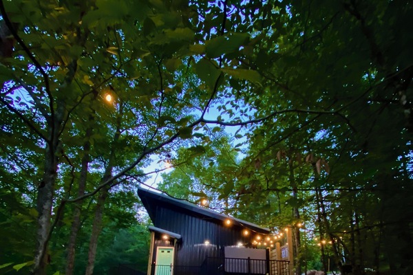 Canopy 7 from the fire pit area