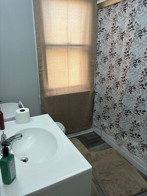 Hair dryer, towels, soap, toilet paper - Cozy 2-bedroom house in lovely Mount Oliver with AC. Extremely close to downtown (Mount Oliver)