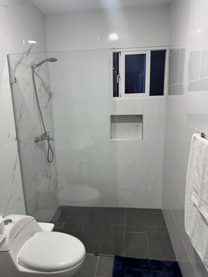 Chuveiro, secador de cabelo, toalhas de banho, sabonete