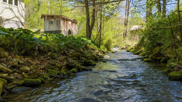 Un fiume che scorre attraverso una zona boscosa con un edificio rustico a sinistra.