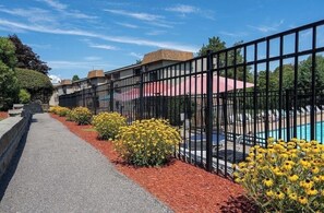 Outdoor pool - Beautiful lakeside 3 bed condo with pool (Laconia)