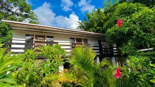 Una casa de techo plano rodeada de abundante vegetación y plantas tropicales.
