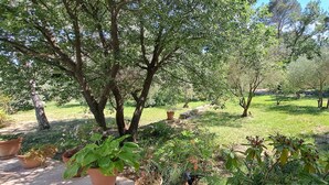 A garden with various potted plants and trees. - A stunning, air-conditioned property with a saltwater swimming pool and large wooded grounds, in... (SEILLANS)