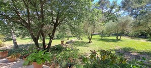 Property grounds - A stunning, air-conditioned property with a saltwater swimming pool and large wooded grounds, in... (SEILLANS)