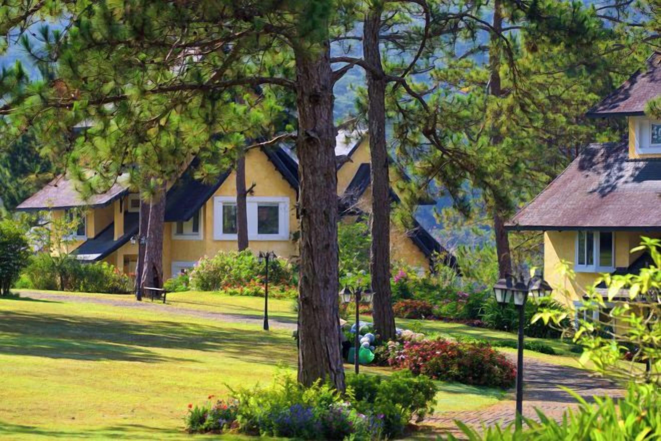 A row of yellow buildings with dark roofs, surrounded by lush greenery and a well-maintained lawn.
