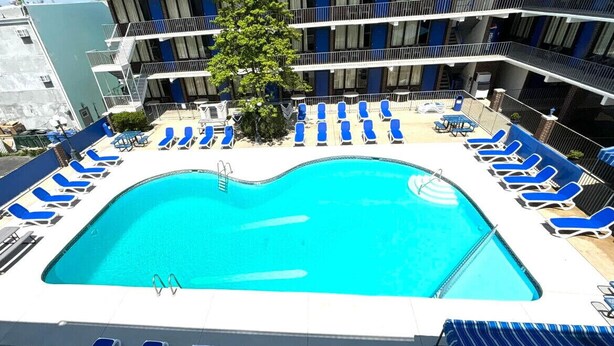 Una piscina en la azotea con sillas reclinables azules dispuestas a su alrededor, un árbol y un edificio de varios pisos al fondo.