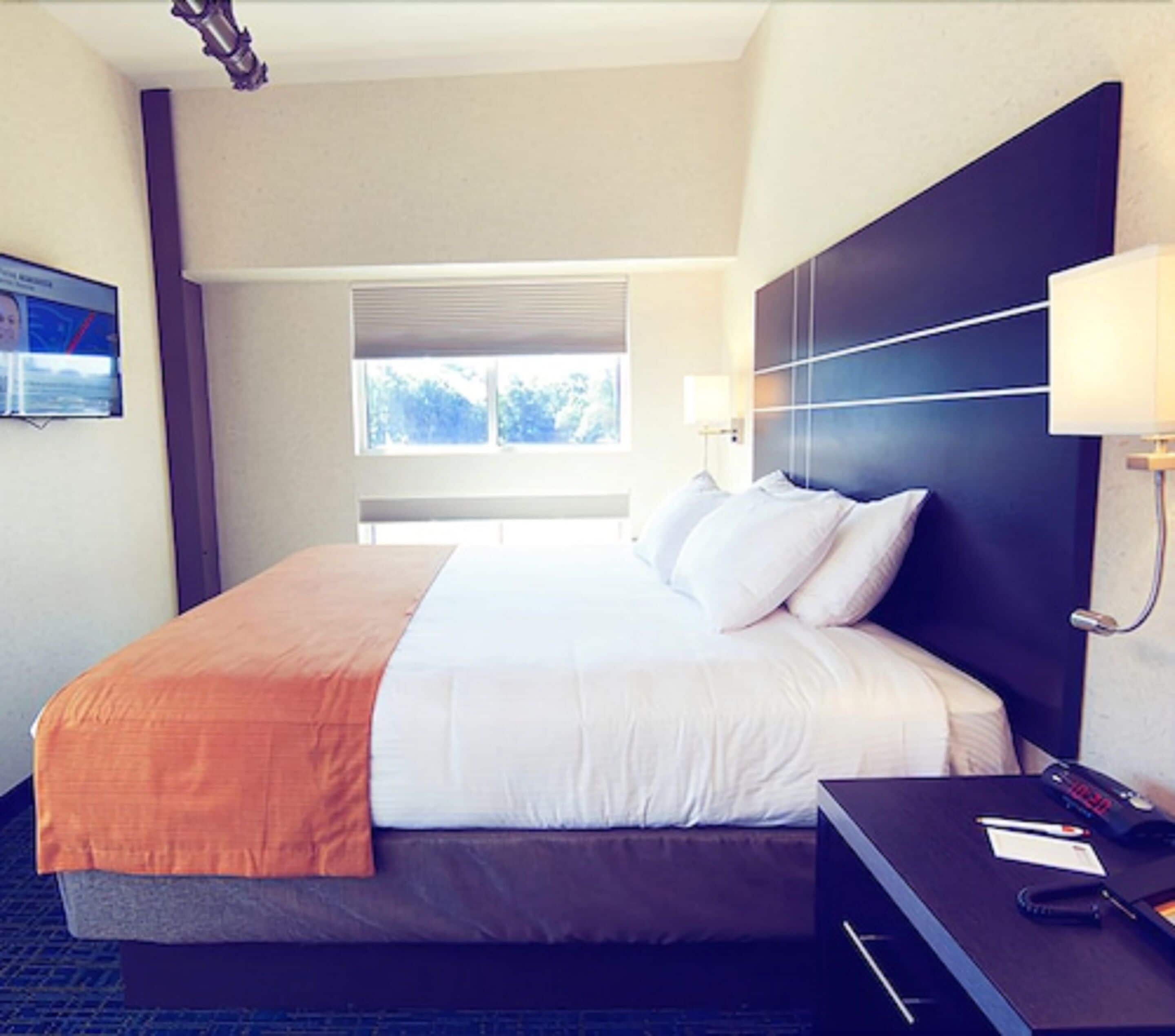 standard room, 1 king bed | desk, iron/ironing board, free cots/infant beds, rollaway beds