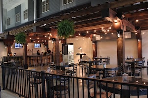 Bar (en la propiedad)