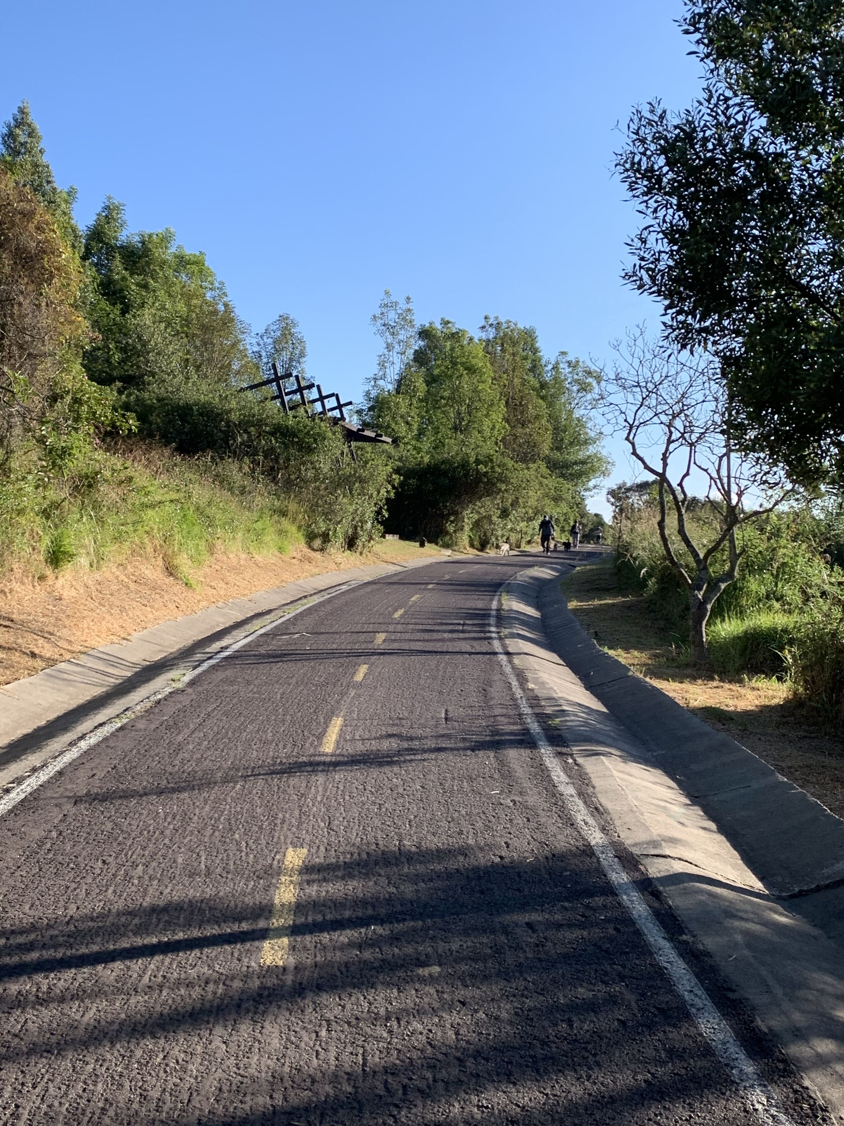 Foto - Hotel Margarita 2