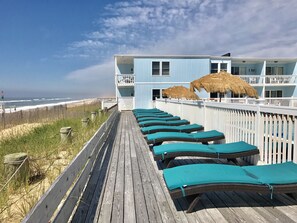 Sundeck - Ocean Surf Resort (Montauk)