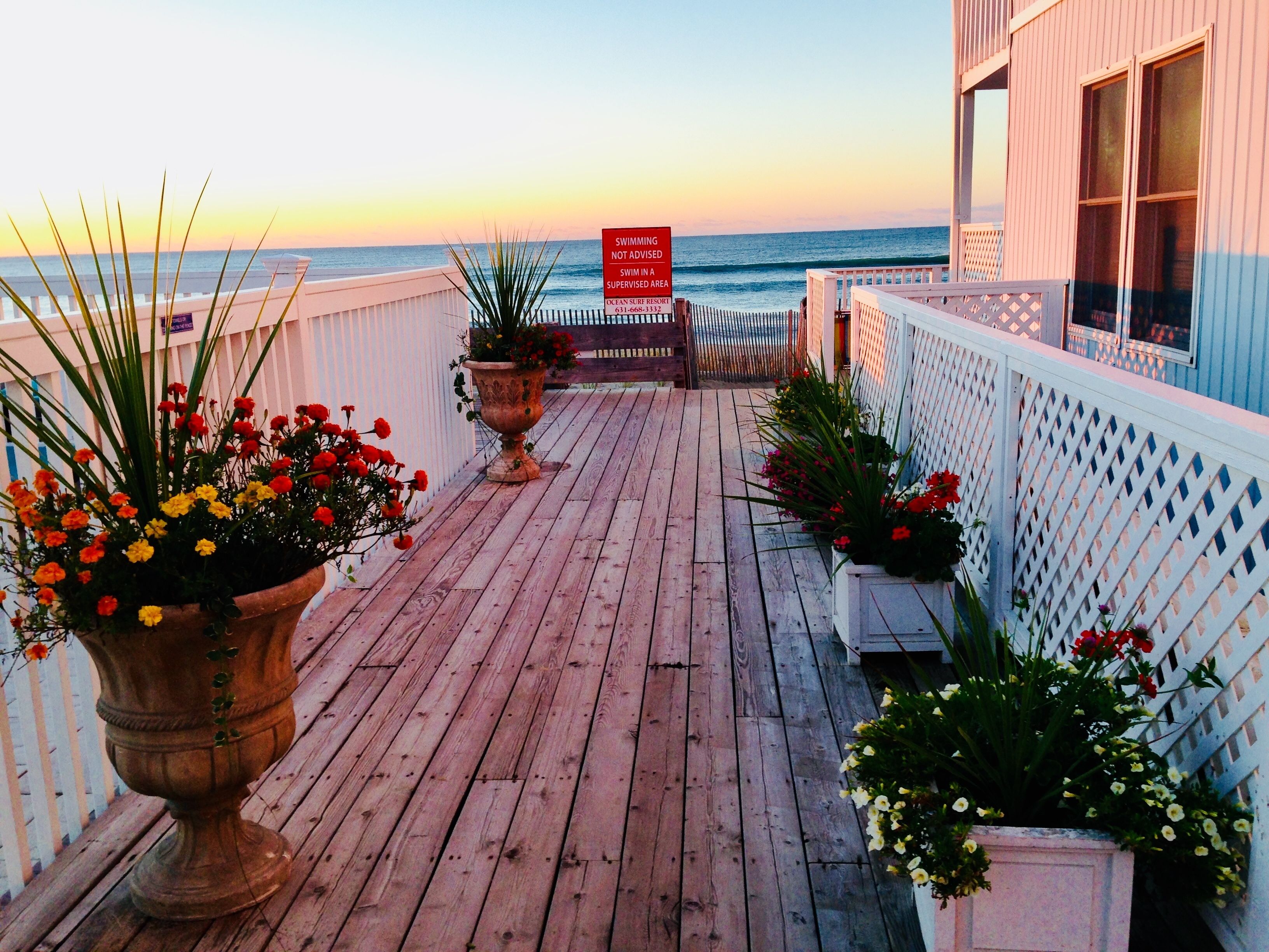 A wooden deck with potted plants and a sign indicating swimming is not allowed.